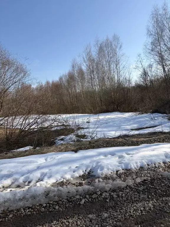 Участок в Московская область, Лотошино муниципальный округ, д. Борки  ... - Фото 1