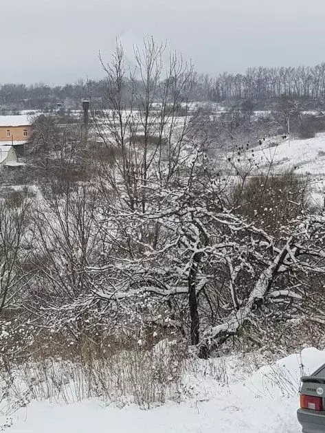Участок в Орловская область, Орловский район, д. Домнино  (20.0 сот.) - Фото 1