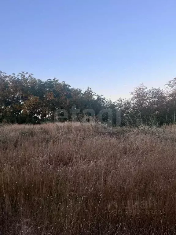 Участок в Ростовская область, Аксайский район, Большелогское с/пос, ... - Фото 1
