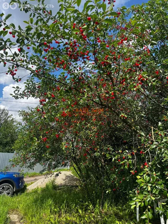 Участок в Тула (8.72 м) - Фото 1