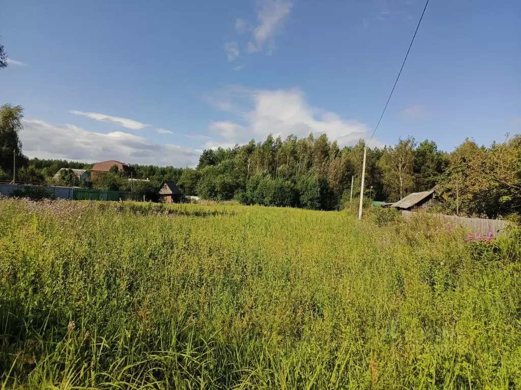 Участок в Московская область, Егорьевск муниципальный округ, с. ... - Фото 1