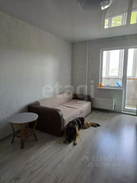 Студия Ханты-Мансийский АО, Сургут ул. Александра Усольцева, 30 (23.5 ... - Фото 1