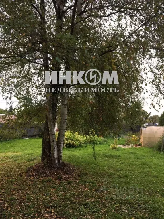 Участок в Московская область, Клин городской округ, пос. Шевляково ул. ... - Фото 2