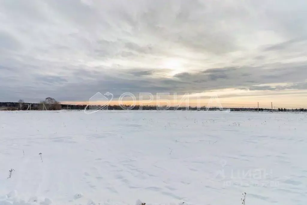 Участок в Тюменская область, Тюменский район, с. Горьковка Сибирская ... - Фото 1