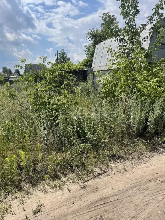 Дом в Воронежская область, Воронеж Уголек СНТ, ул. Сиреневая (14 м) - Фото 0