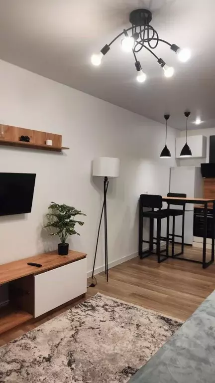 Студия Ленинградская область, Мурино Всеволожский район, просп. ... - Фото 2