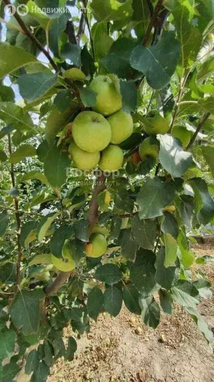 Дом в Ближнее, 1-я Октябрьская улица (83.2 м) - Фото 1