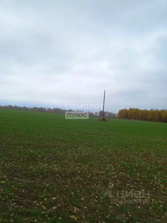 Участок в Нижегородская область, Чкаловск муниципальный округ, с. ... - Фото 1