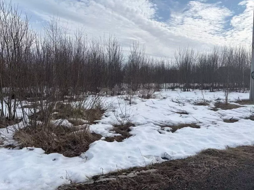 Участок в Московская область, Можайский муниципальный округ, Стрижи ... - Фото 2