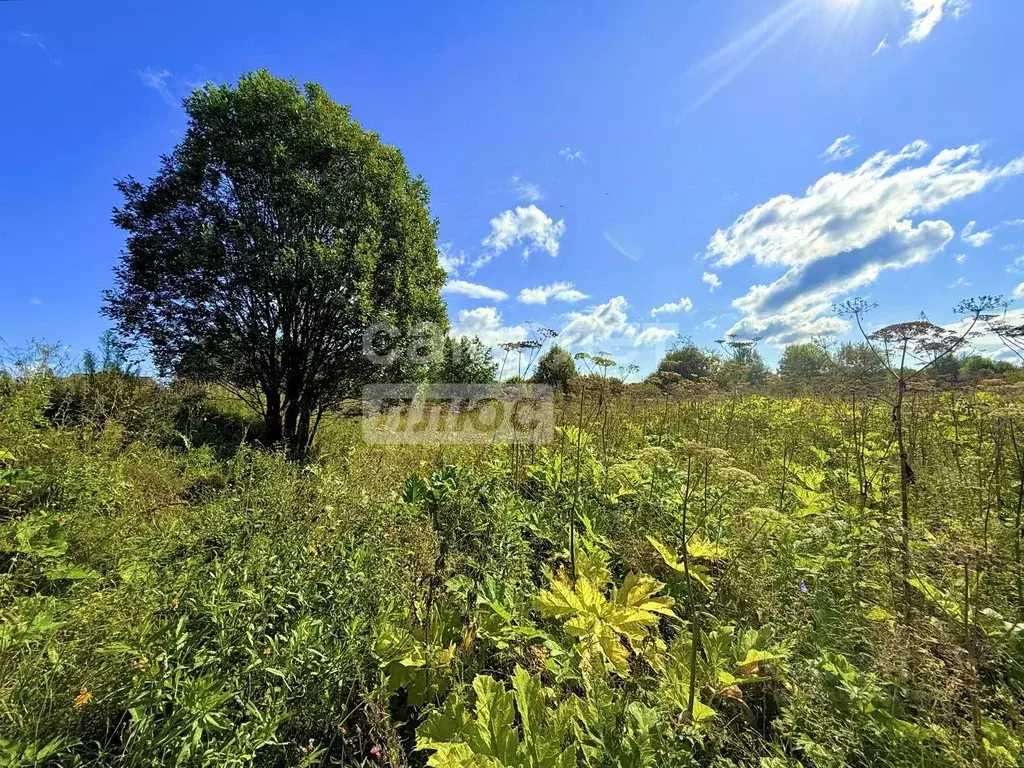 Участок в Ярославская область, Переславль-Залесский муниципальный ... - Фото 2