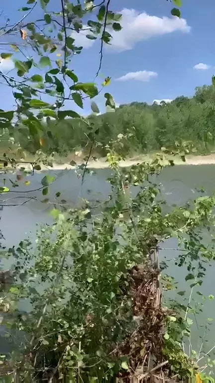 Участок в Краснодарский край, Апшеронский район, Кубанское с/пос  (4.0 ... - Фото 1