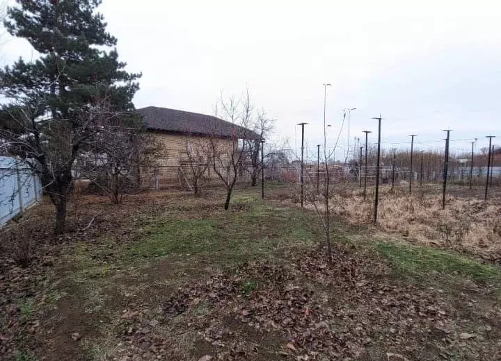 Участок в Волгоградская область, Среднеахтубинский район, ... - Фото 0