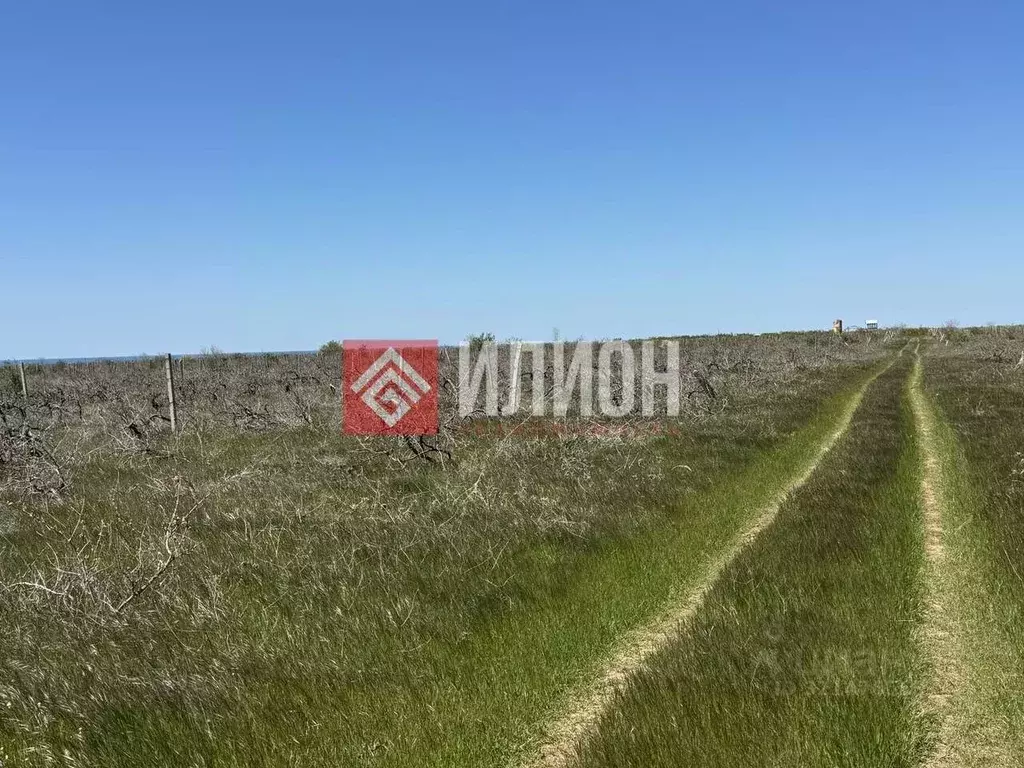 Участок в Крым, Бахчисарайский район, с. Угловое ул. Ленина, 91 (290.0 ... - Фото 1
