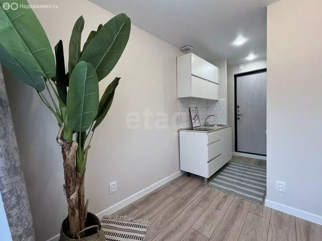 Квартира-студия: Воронеж, улица 9 Января, 125 (12.3 м) - Фото 1