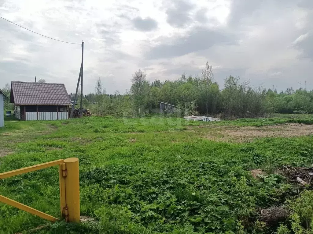 Участок в Архангельская область, Приморский муниципальный округ, ... - Фото 2