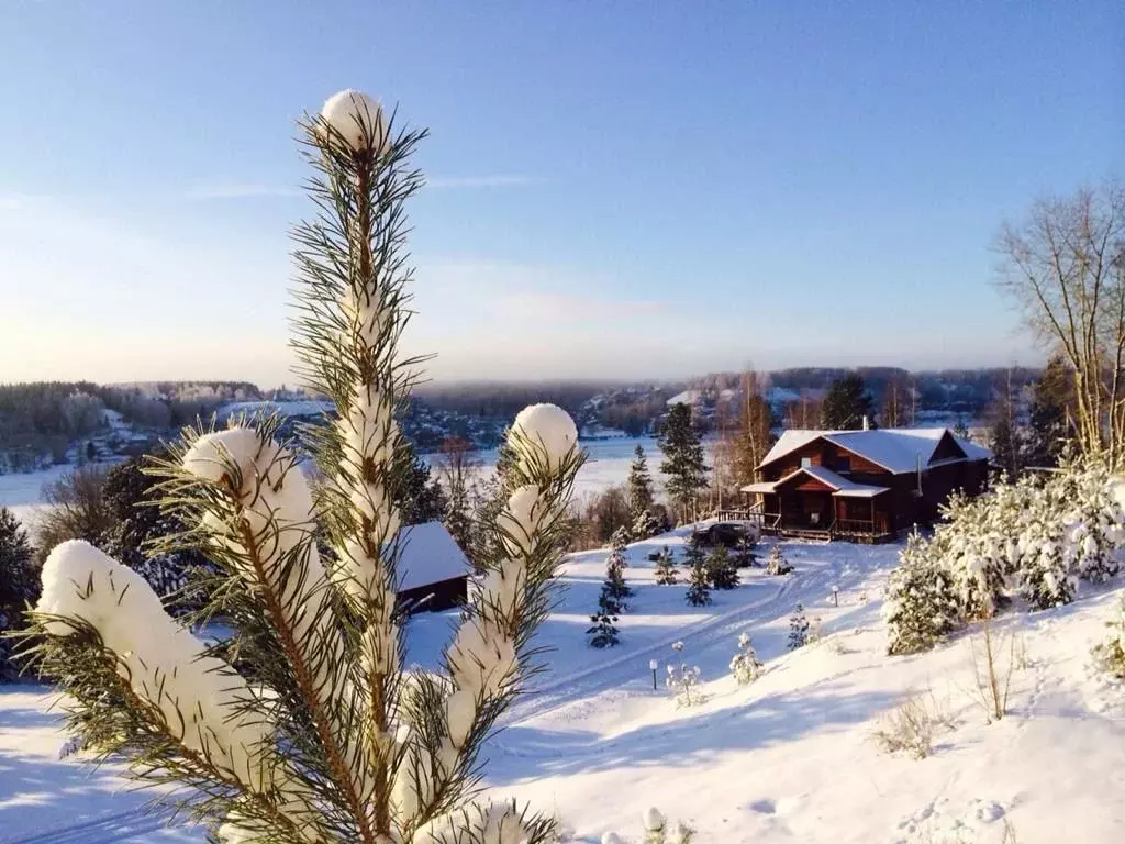 Коттедж в Костромская область, Красносельский район, Прискоковское ... - Фото 2