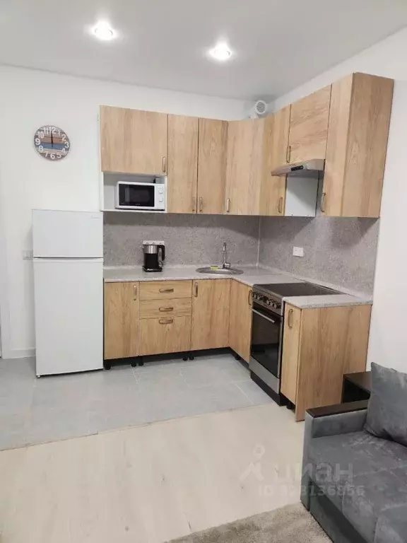 Студия Московская область, Пушкино ул. Александра Меня, 1 (23.6 м) - Фото 1