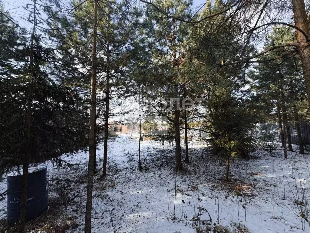 Участок в Московская область, Богородский городской округ, д. Следово ... - Фото 0