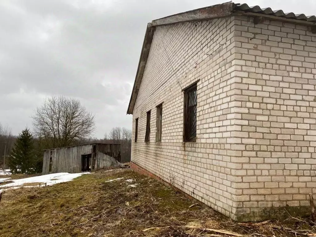 Помещение свободного назначения в Тверская область, Ржевский ... - Фото 1