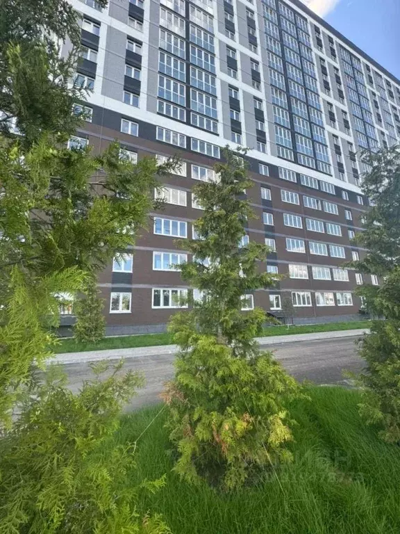 1-к кв. Брянская область, Брянск просп. Станке Димитрова, 67к7 (34.3 ... - Фото 1