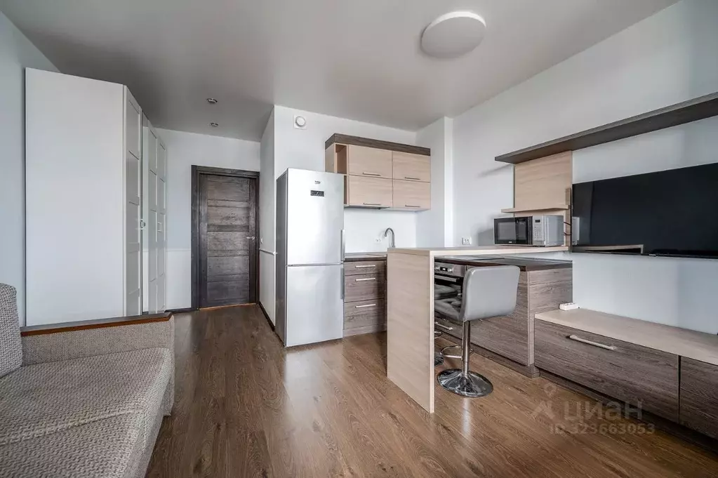 Студия Санкт-Петербург просп. Ветеранов, 169к1 (24.2 м) - Фото 1