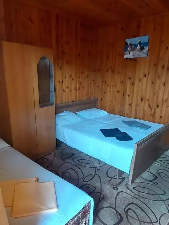 Комната Краснодарский край, Сочи ул. Мартовская, 12 (18.0 м) - Фото 1