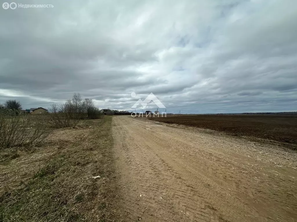 Участок в Ярославский муниципальный округ, село Андроники (1509 м) - Фото 2