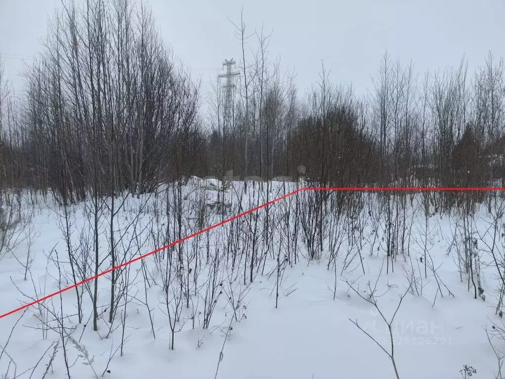 Участок в Архангельская область, Котлас ул. Попова (8.71 сот.) - Фото 1