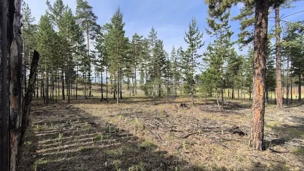 Участок в Бурятия, Улан-Удэ Лоза ДНТ, 78 (8.0 сот.) - Фото 0