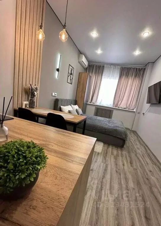 1-к кв. Башкортостан, Уфа ул. Набережная реки Уфы, 69/3 (20.0 м) - Фото 1