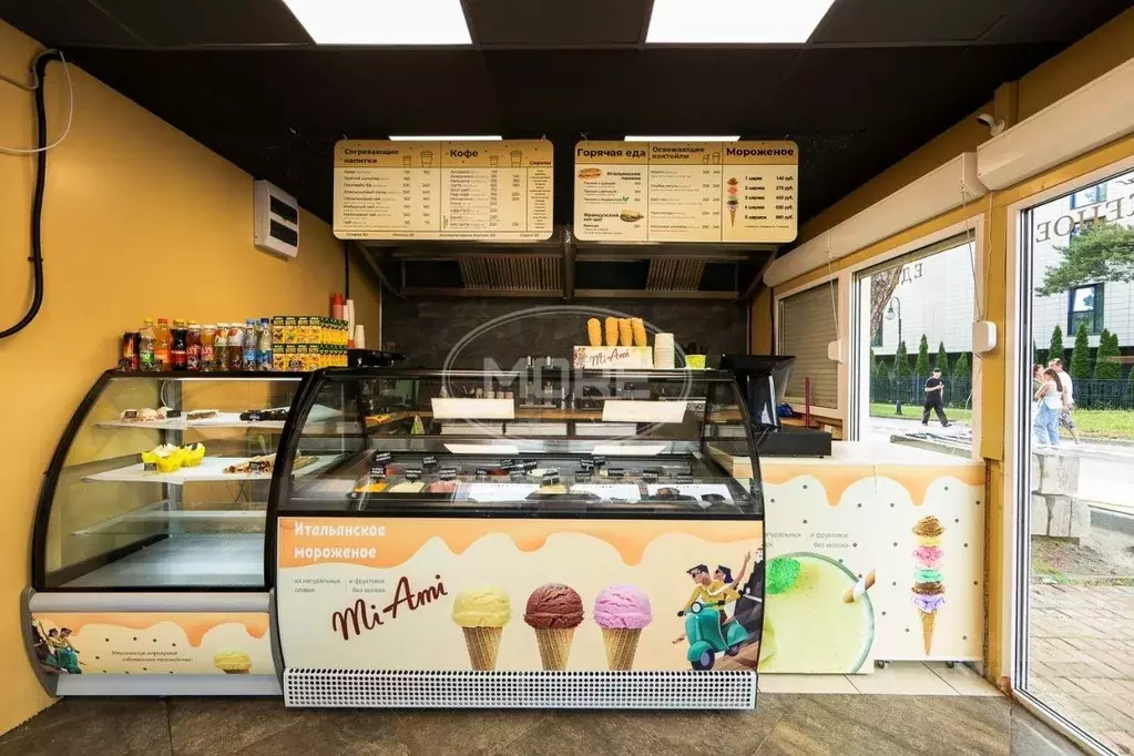 Помещение свободного назначения в Калининградская область, Светлогорск ... - Фото 1