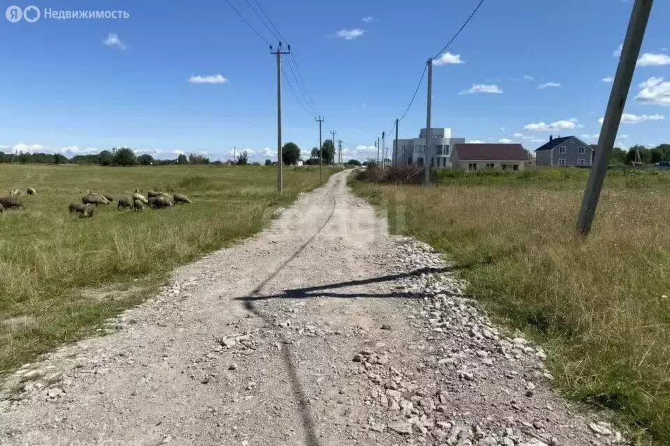 Участок в Калиновка, коттеджный посёлок Калиновка, Перечная улица ... - Фото 2