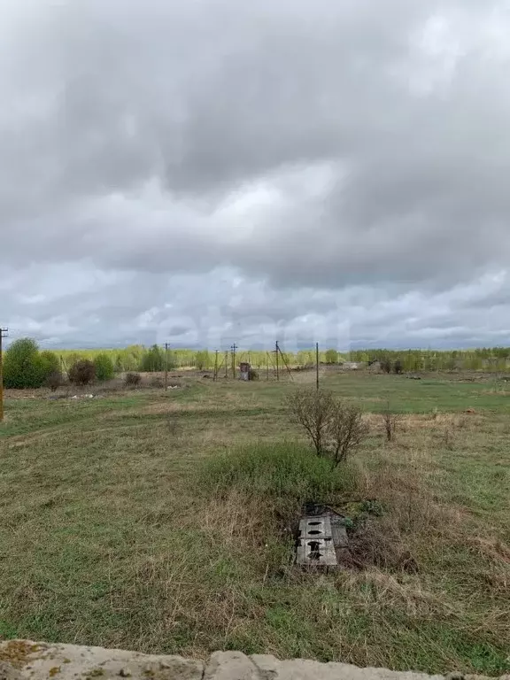 Дом в Ярославская область, Некрасовский муниципальный округ, д. ... - Фото 2