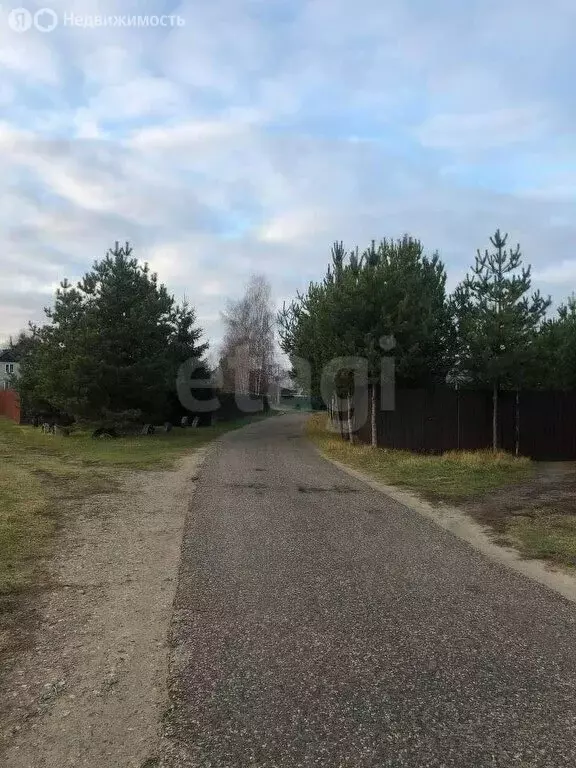 Участок в Ярославская область, сельское поселение Некрасовское, село ... - Фото 0