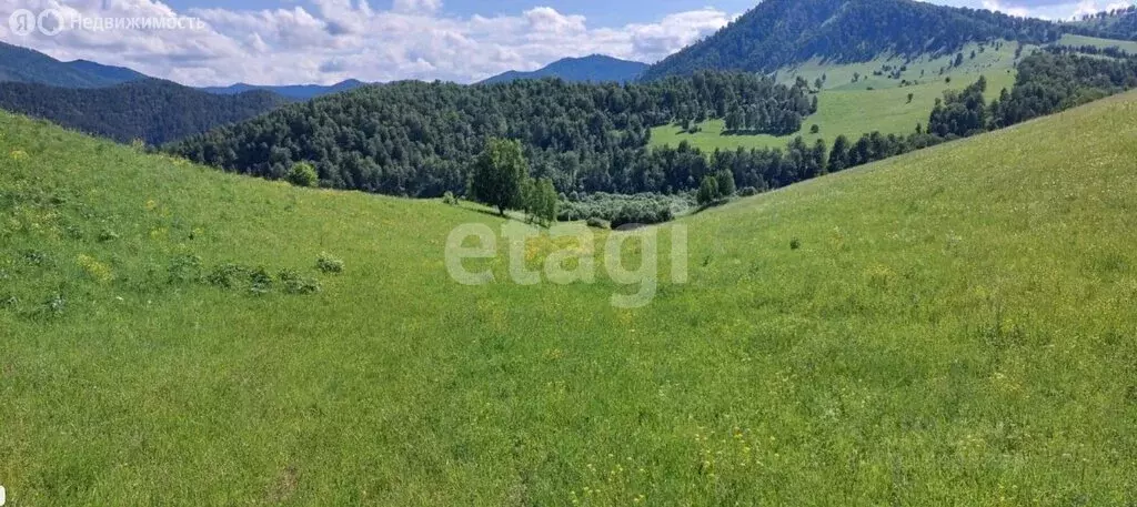 Участок в Камлак, Алтайская улица (20 м) - Фото 0