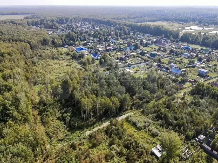 Участок 10 сот. (СНТ, ДНП) - Фото 0