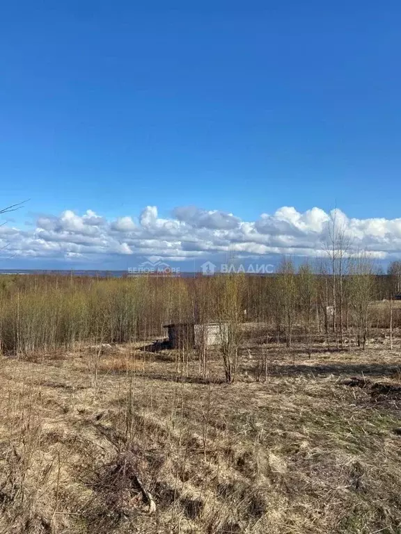 Участок в Архангельская область, Северодвинск муниципальное ... - Фото 0