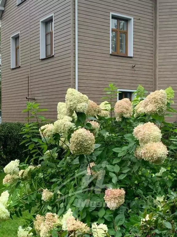 Дом в Московская область, Голицыно Одинцовский городской округ, ... - Фото 1