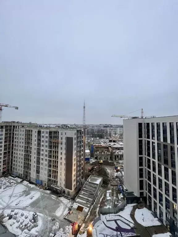 1-к кв. Санкт-Петербург Белоостровская ул., 10к2 (41.57 м) - Фото 0
