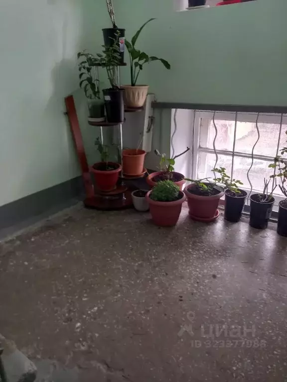 Комната Свердловская область, Екатеринбург ул. Розы Люксембург, 67А ... - Фото 1