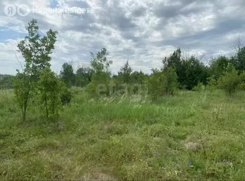 Участок в село Староживотинное, КП Колизей, 1-я Театральная улица (7.2 ... - Фото 1