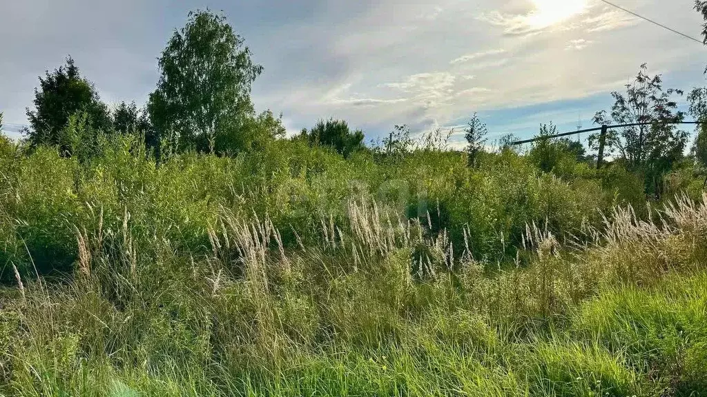 Участок в Вологодская область, Череповецкий район, Судское с/пос, пос. ... - Фото 1