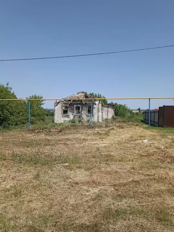 Участок в Белгородская область, Алексеевский городской округ, с. ... - Фото 1