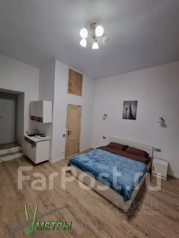 1-к кв. Приморский край, Владивосток ул. Капитана Шефнера, 19/1 (21.0 ... - Фото 2