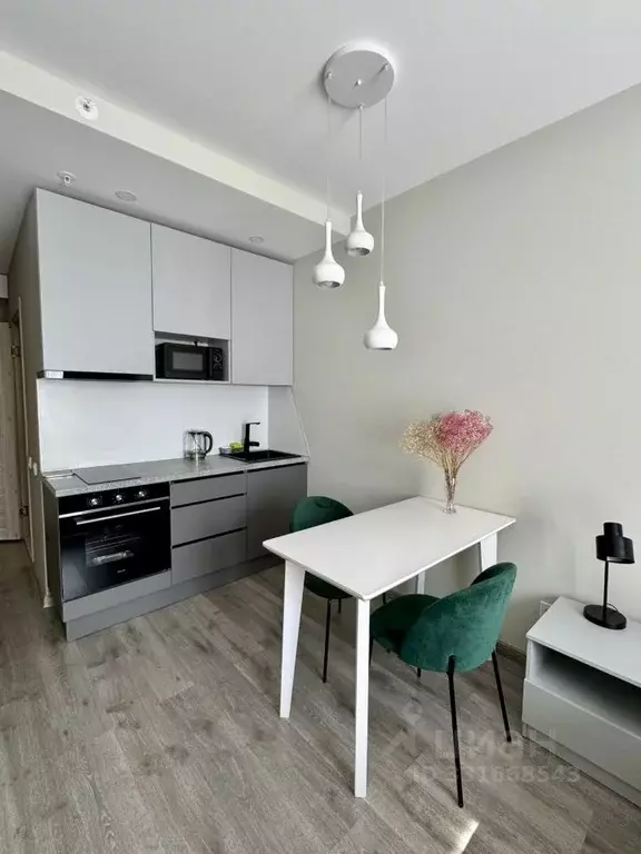 Студия Санкт-Петербург Витебский просп., 99к1 (24.5 м) - Фото 1