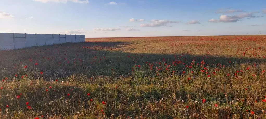 Участок в Крым, Сакский район, с. Суворовское ул. Северная, 9 (8.0 ... - Фото 0