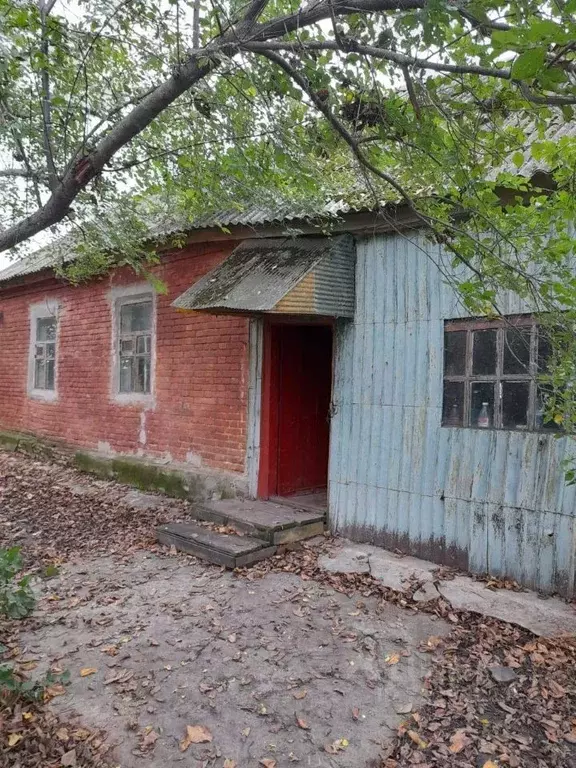 Дом в Воронежская область, Панинское городское поселение, с. Калмычек ... - Фото 1