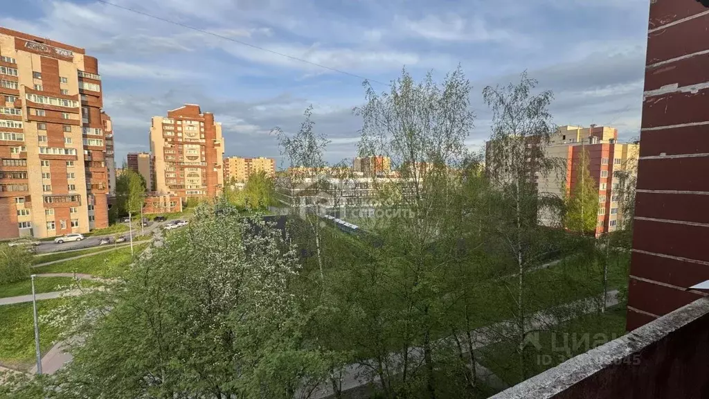1-к кв. Санкт-Петербург, Санкт-Петербург, Петергоф Чебышевская ул., 9 ... - Фото 0