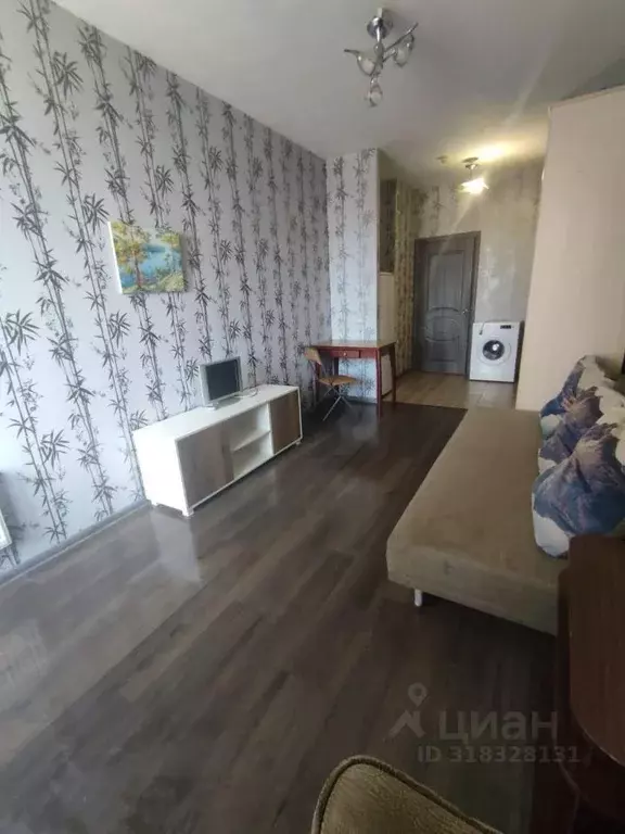 Студия Санкт-Петербург Малая Бухарестская ул., 5к2 (24.2 м) - Фото 0