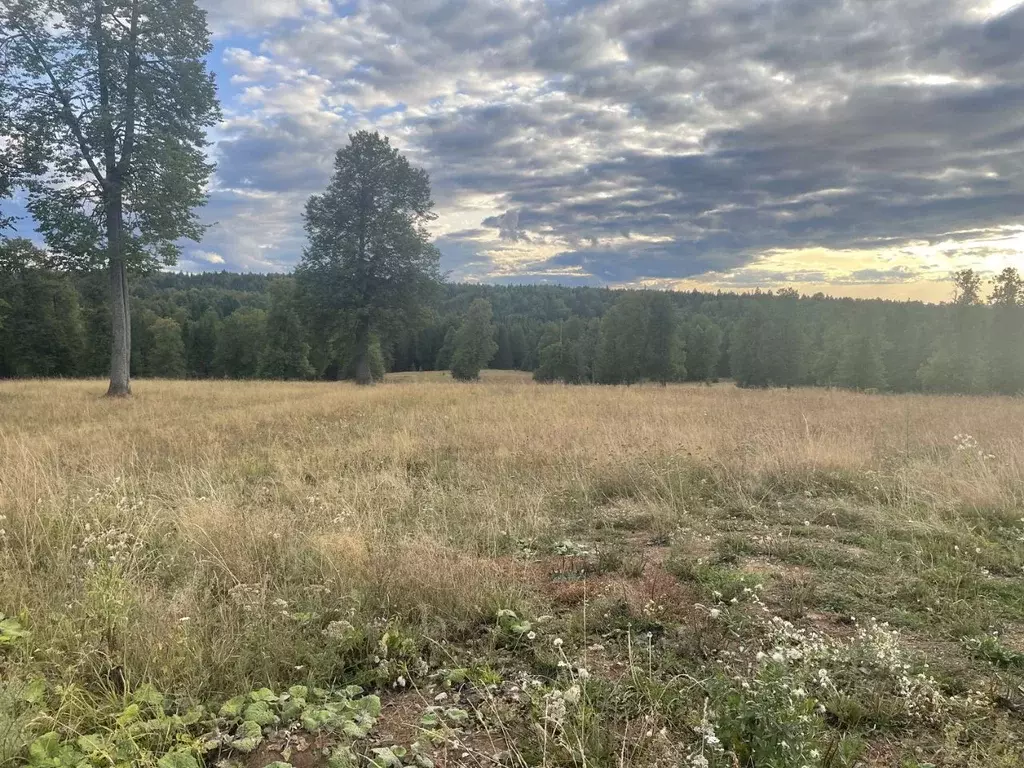 Участок в Пермский край, Добрянский муниципальный округ, пос. Дивья ... - Фото 2